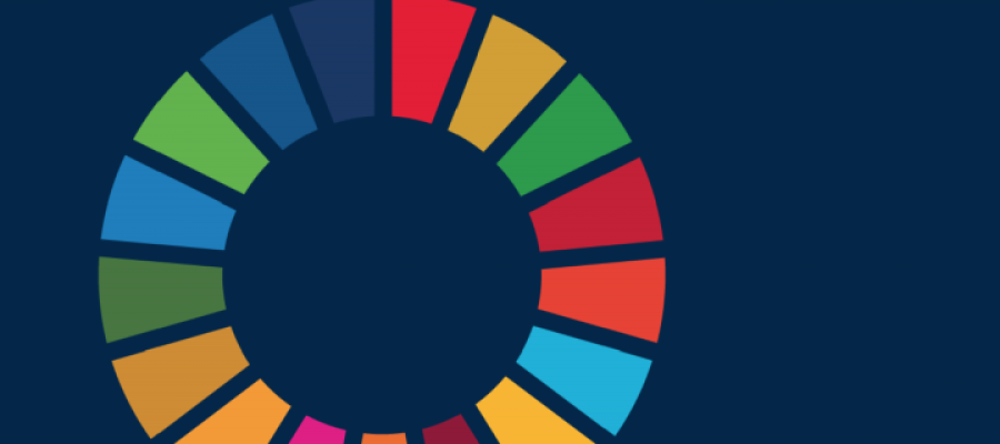Global Health and the SDGs