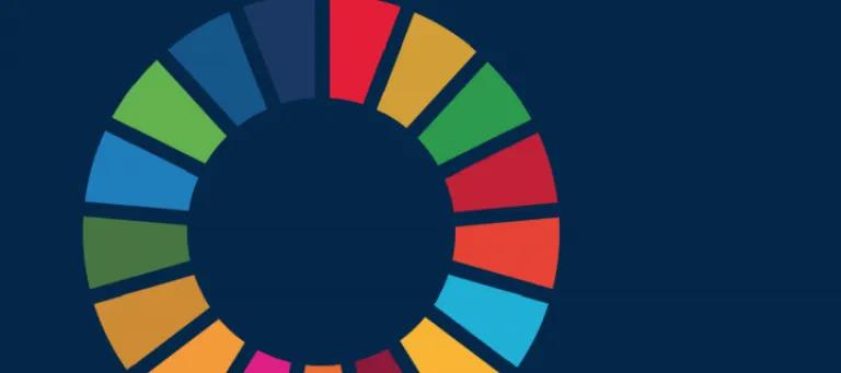 Global Health and the SDGs