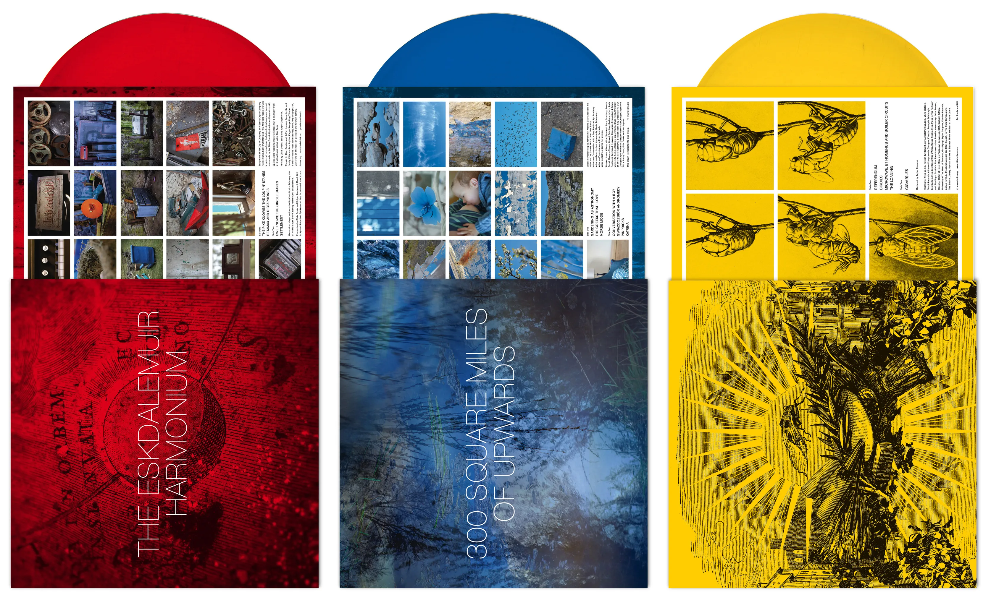 Chris Dooks Seminar Image