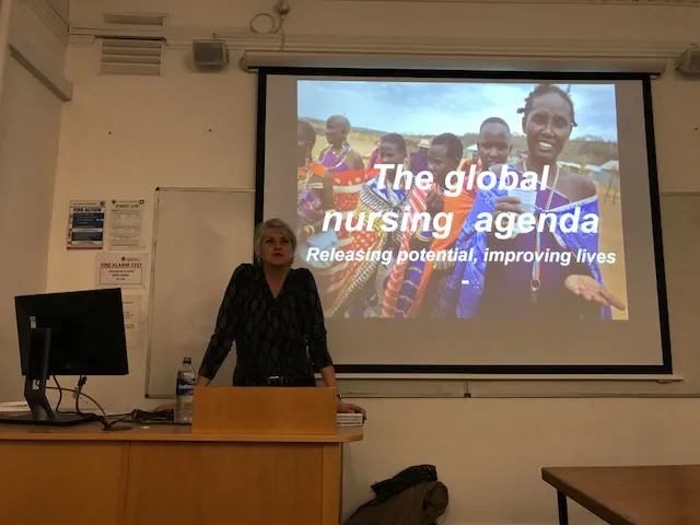 Nursing Studies Global Seminar with Jane Salvage 1