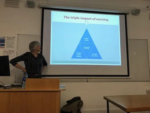 Nursing Studies Global Seminar with Jane Salvage 2