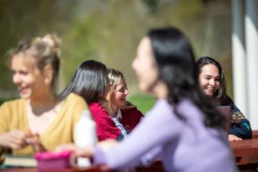 Three students sit around a laptop on a bench outside on a sunny day, talking and laughing together