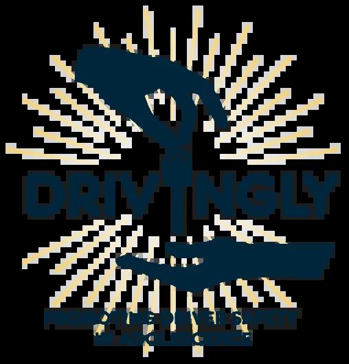 HiSS - Drivingly logo