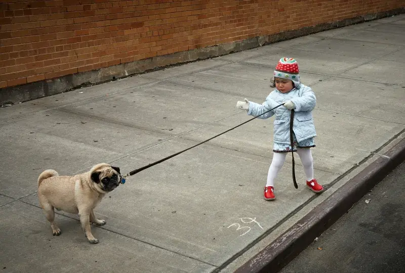 Photo for empathy measures