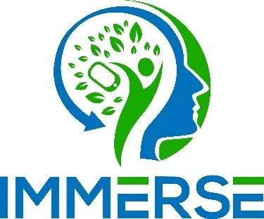 HiSS - IMMERSE logo