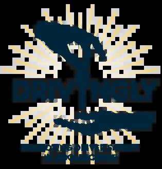 HiSS - Drivingly logo